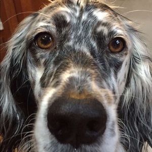 Meet your Posher, Terri